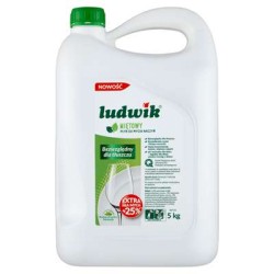 Ludwik